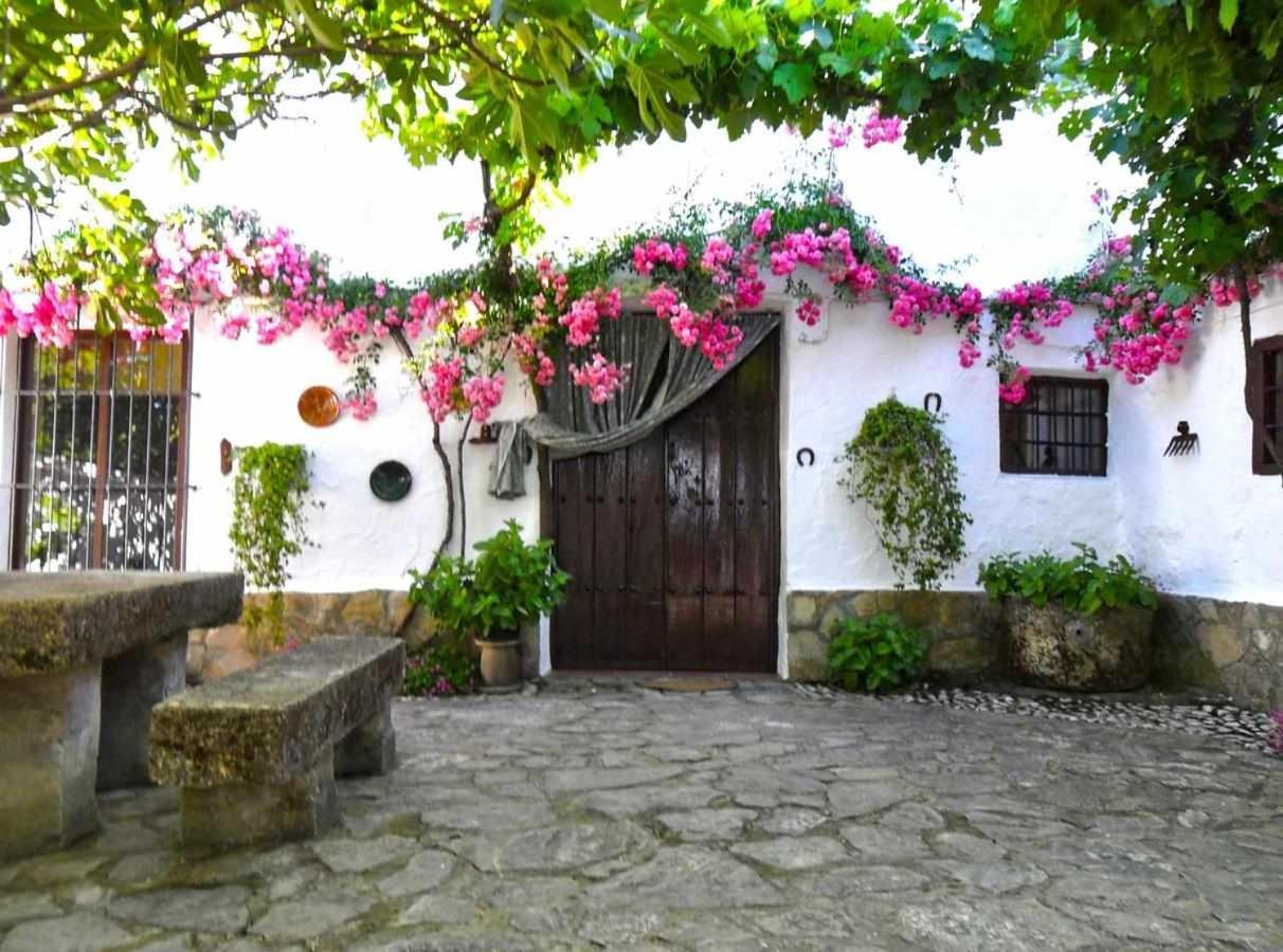 Maison d'hôtes Cortijo La Gineta à Alcalá la Real Extérieur photo