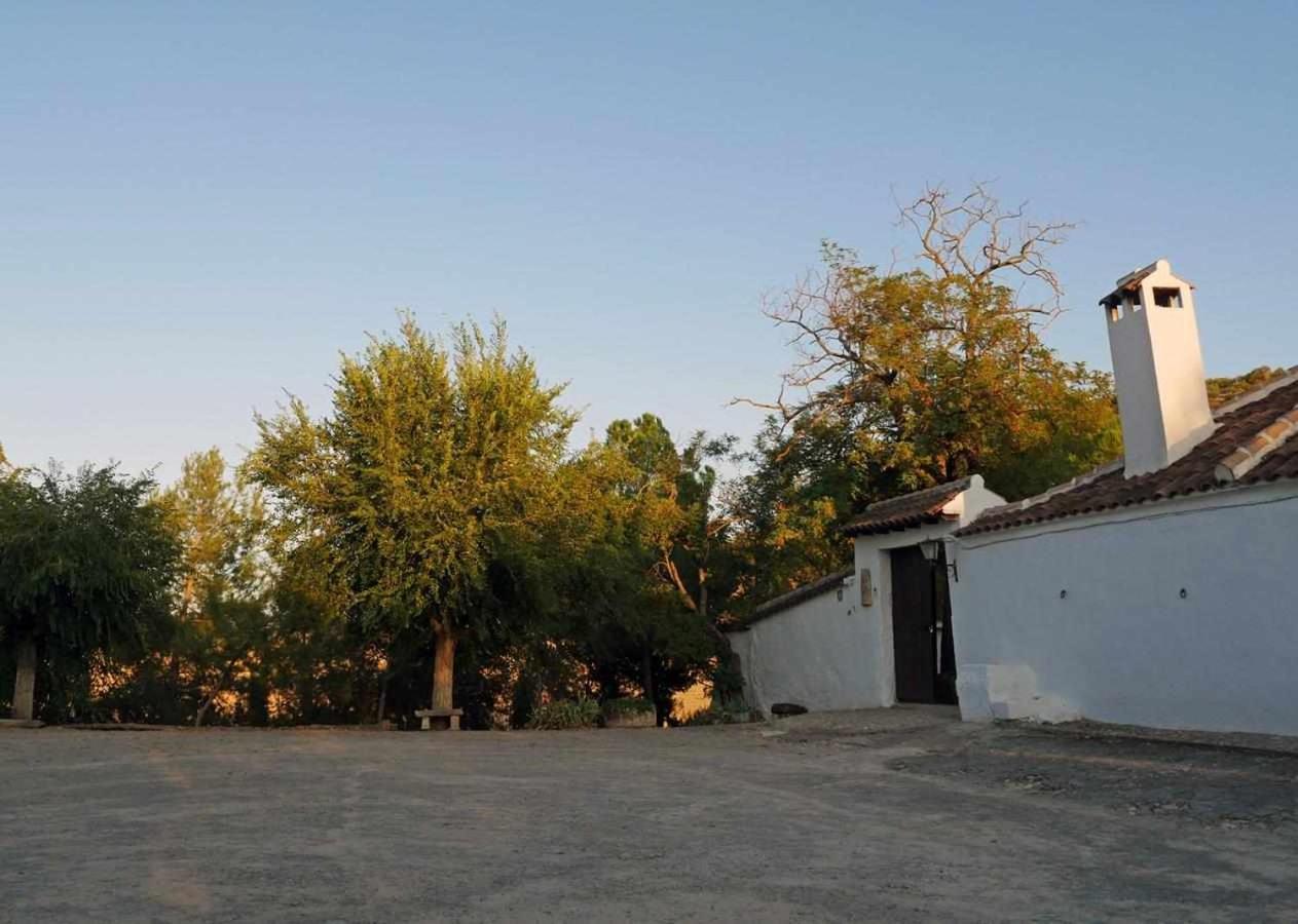 Maison d'hôtes Cortijo La Gineta à Alcalá la Real Extérieur photo
