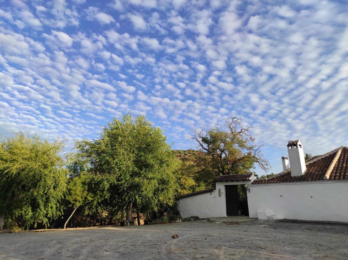 Maison d'hôtes Cortijo La Gineta à Alcalá la Real Extérieur photo